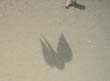cervia_2006_kap_037