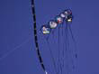 sidney_1995_003