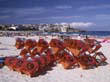 sidney_1995_006