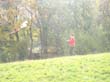 himmel_2004_0003