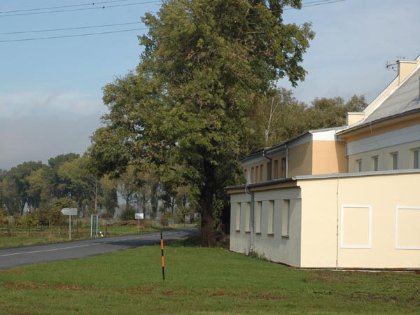 olsany01