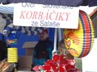 olsany06