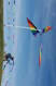 potsdam2004_017
