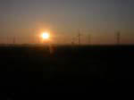 olsany00