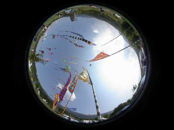field06