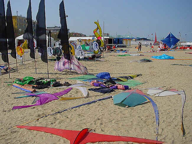 f006.jpg