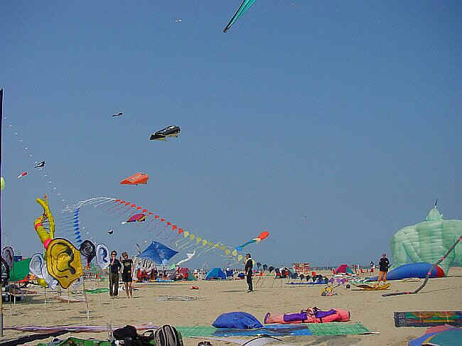f007.jpg