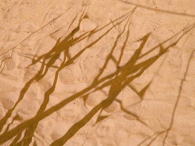 schatten004.JPG