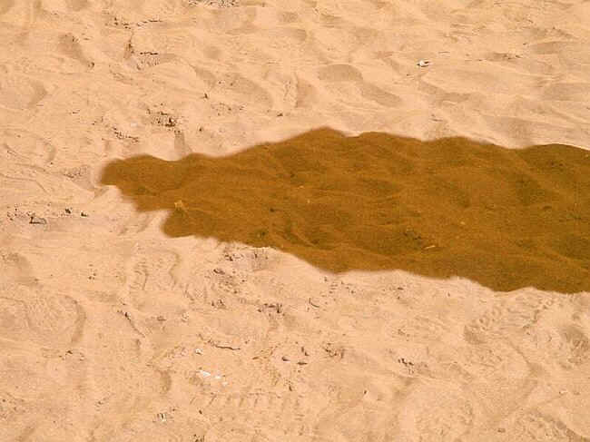 schatten009.JPG