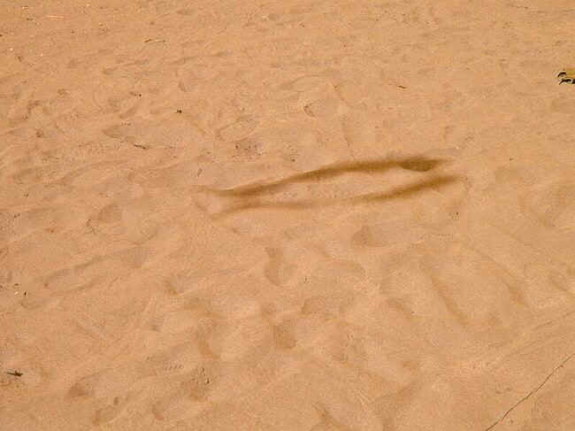 schatten012.JPG