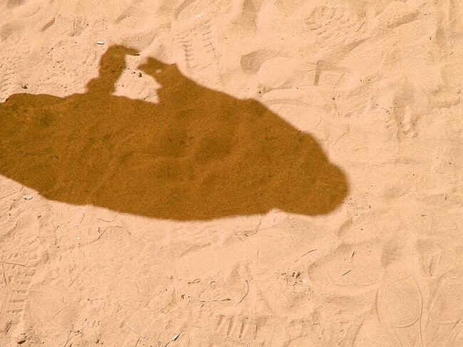 schatten017.JPG