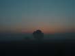 cervia_08_006