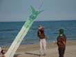 cervia_08_019
