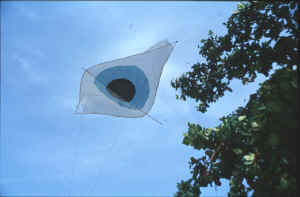 auge.JPG (109445 Byte)
