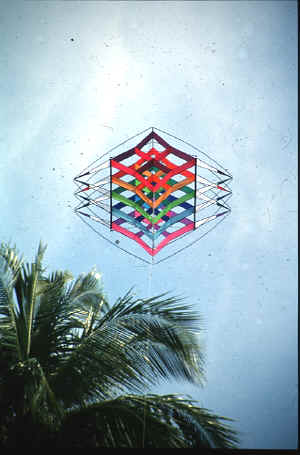 gabi kite.JPG (159230 Byte)