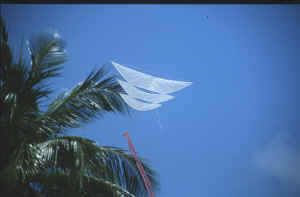 thai kite.JPG (94749 Byte)