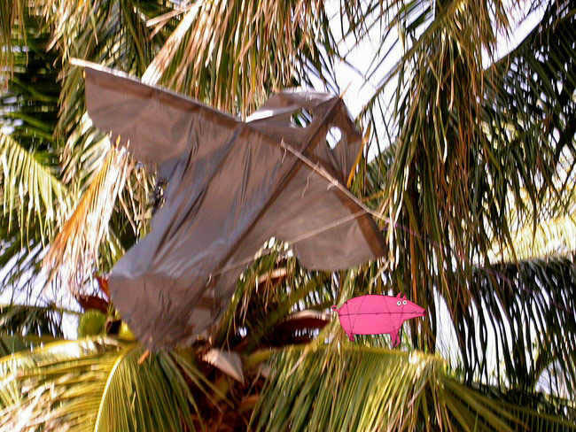 viet_2003_009