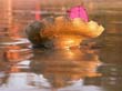 viet_2003_018