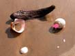 viet_2003_026