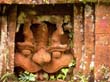 viet_2003_033