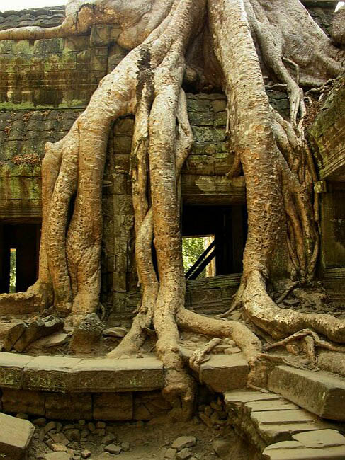 cambodia_2004_018
