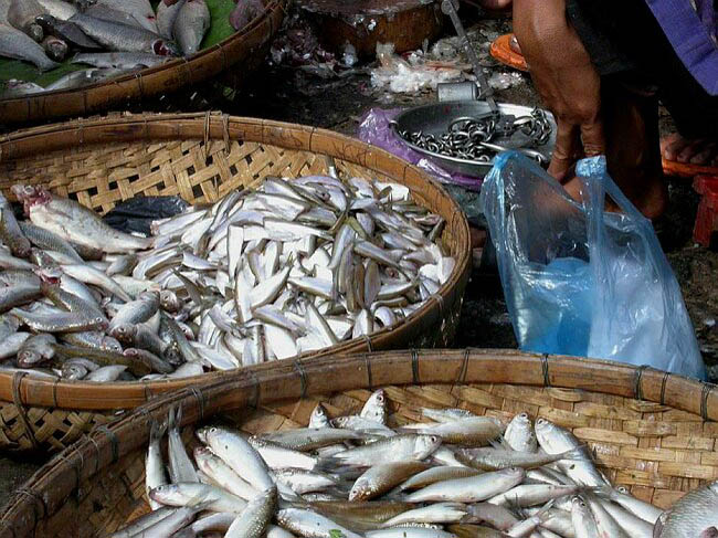 cambodia_2004_079
