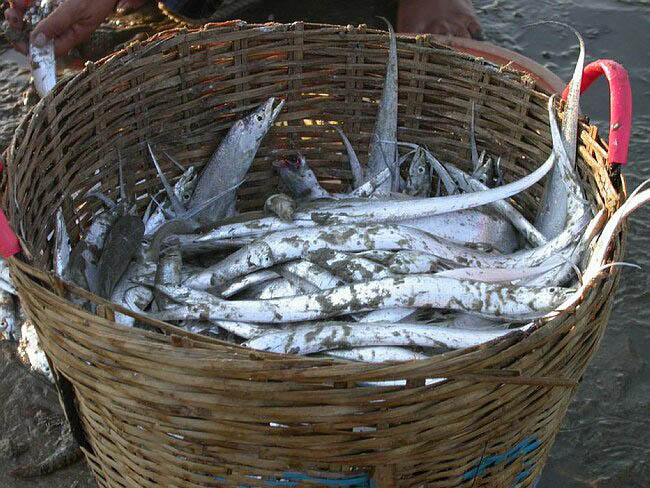 cambodia_2004_155