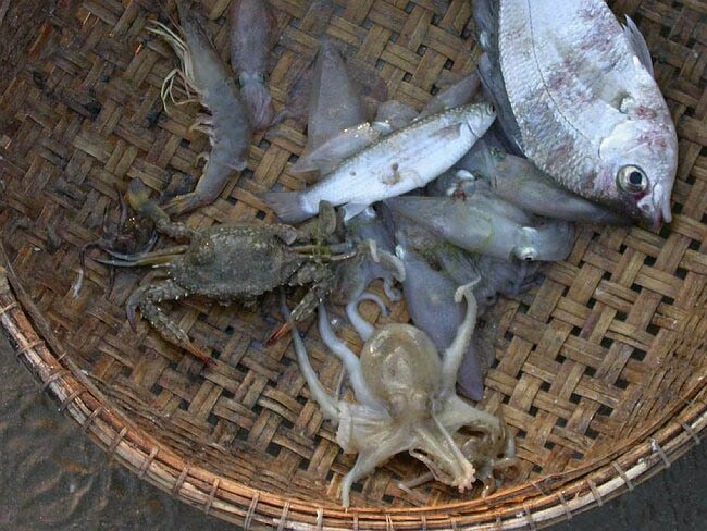 cambodia_2004_156