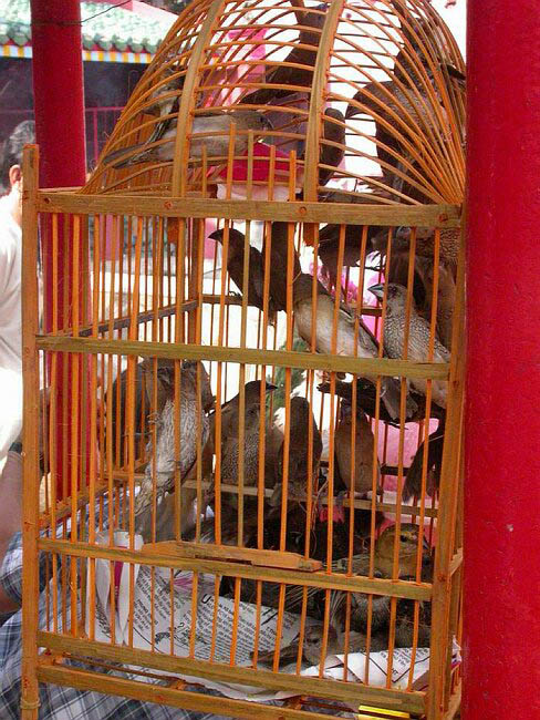 cambodia_2004_211