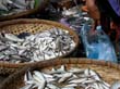 cambodia_2004_079