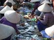 cambodia_2004_168