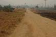 thai2005_0159
