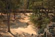 thai2005_0408