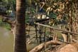 thai2005_0426