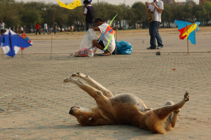 thai2005_0789