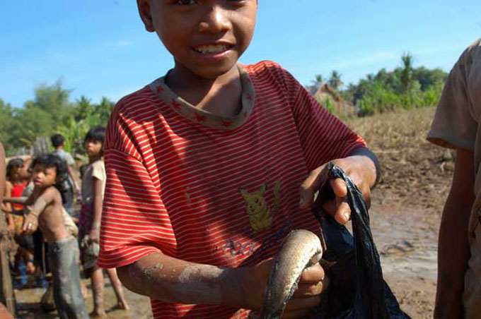 thai0167