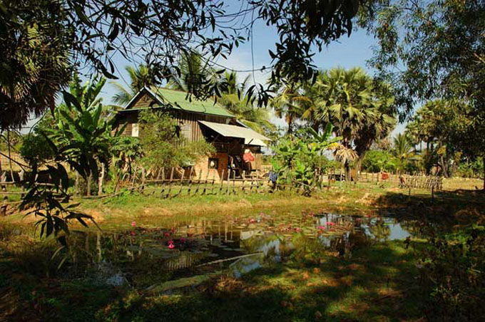 thai0173