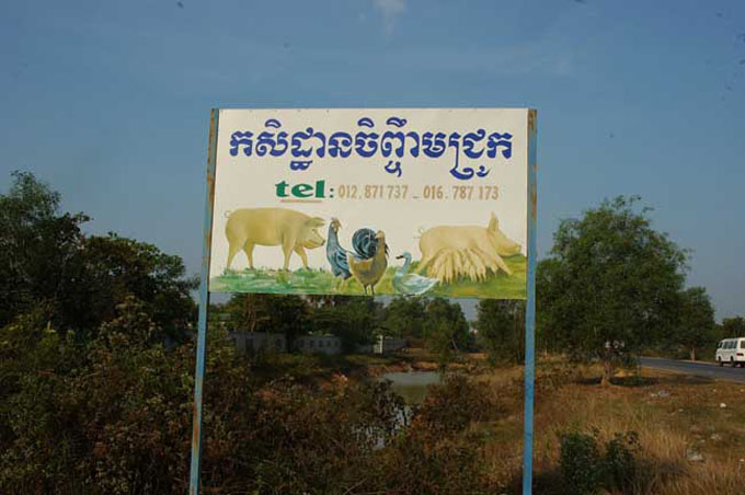 thai0213