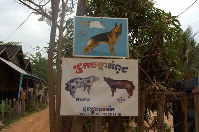 thai0215