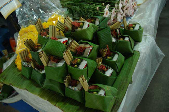 thai0255