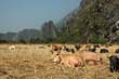 04_vangvieng_013