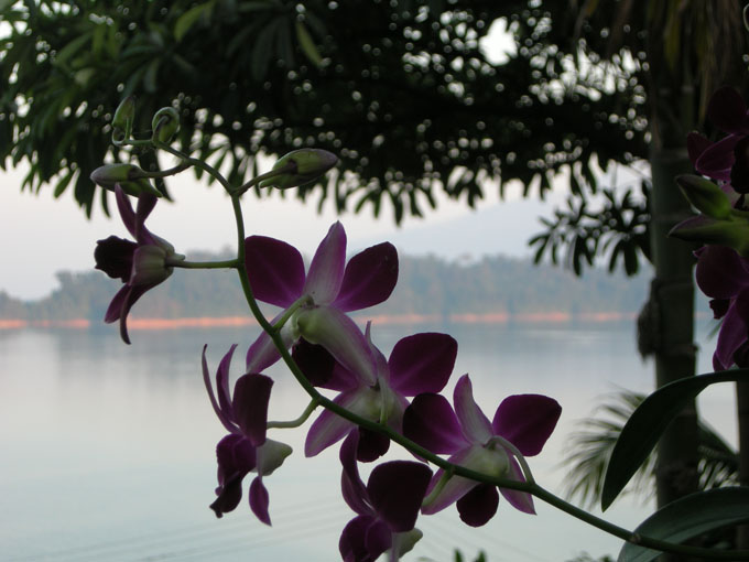 laos_2008_013