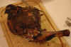 wildschwein06.jpg (91967 Byte)